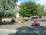 criccieth in bloom